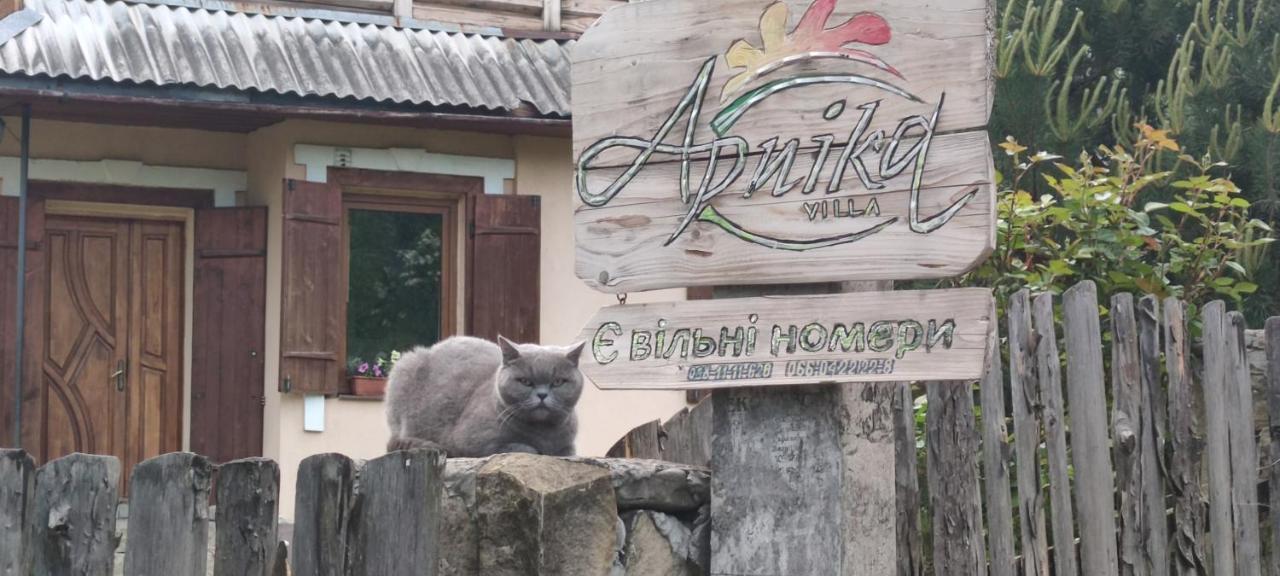 Отель Arnika Татаров Экстерьер фото